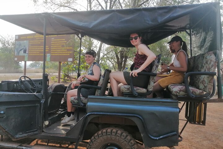 3 days (2 nights) Elephants safari private experience