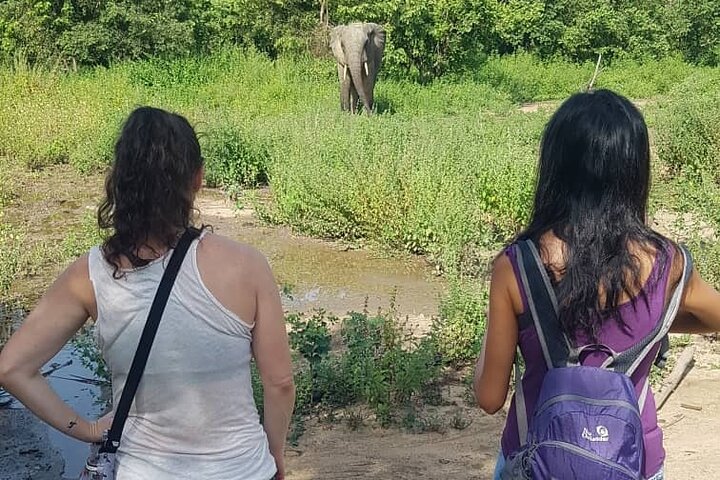 3 days (2 nights) Elephants safari private experience