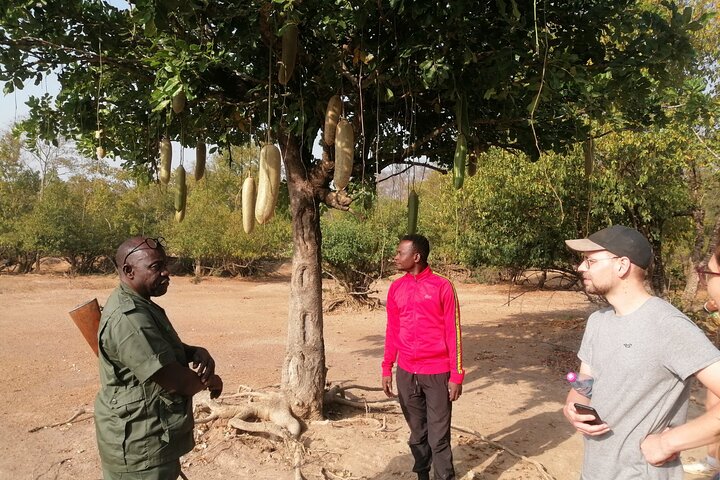 3 days (2 nights) Elephants safari private experience