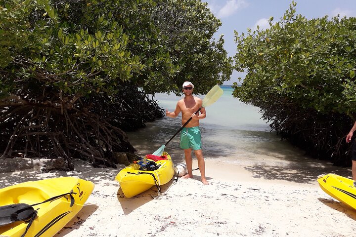 Private Aruba Kayak & Snorkeling Tour + Transortation
