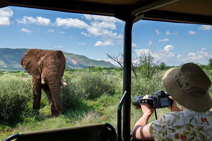 3-Hour Scheduled Safari Game Drive in Pilanesberg National Park