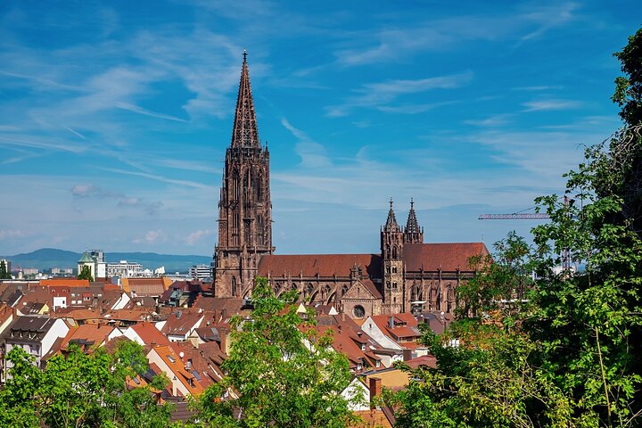 Explore Freiburg’s Art and Culture with a Local
