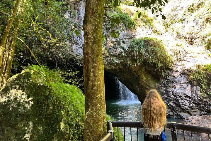 Deluxe Springbrook & Mt Tamborine Glow Worms and famous Skywalk