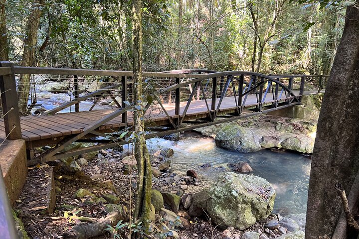 Deluxe Springbrook & Mt Tamborine Glow Worms and famous Skywalk