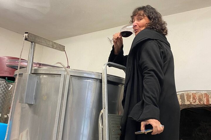 Tuscan Wine Tour in Lucca by van