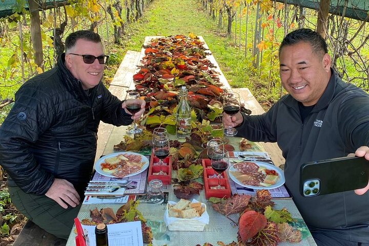 Tuscan Wine Tour in Lucca by van