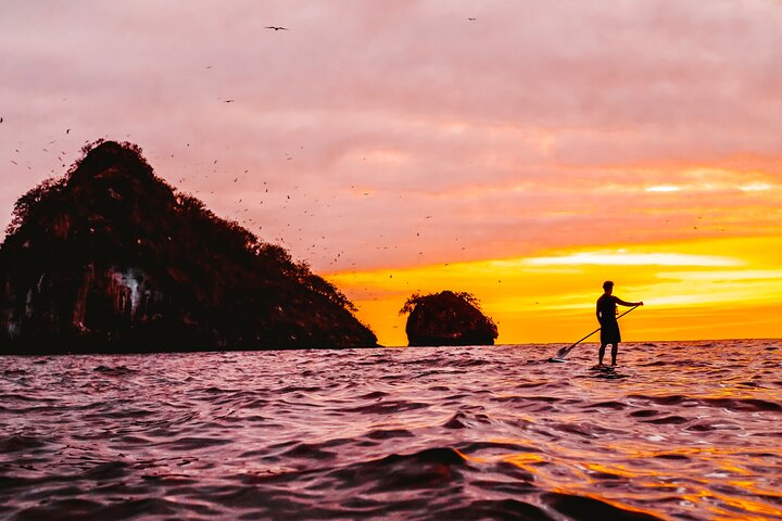 Bioluminescence by kayak or SUP to Los Arcos Puerto Vallarta