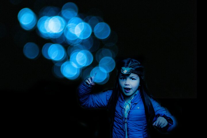 Glow-worms, Waterfalls & Rainforest Experience