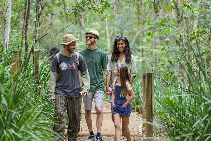 Glow-worms, Waterfalls & Rainforest Experience