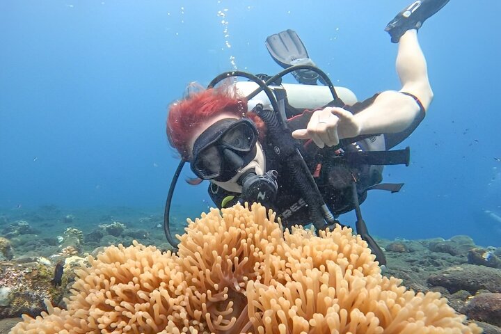 Tulamben Diving USS Liberty Shipwreck Scuba Dive