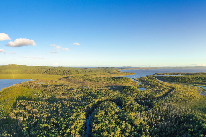 Everglades Explorer - Noosa Everglades Tour