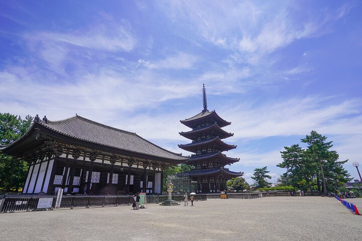 Nara Half Day Trip Walking Tour (Private Option Available)
