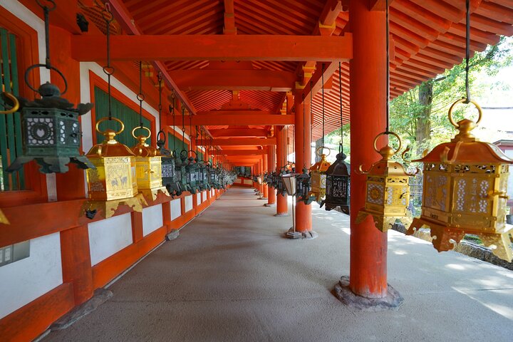 Nara Half Day Trip Walking Tour (Private Option Available)