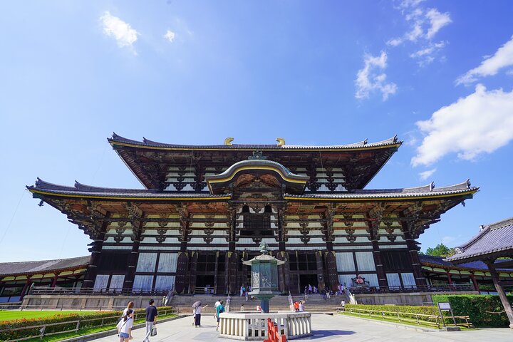Nara Half Day Trip Walking Tour (Private Option Available)