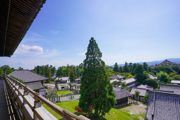 Nara Half Day Trip Walking Tour (Private Option Available)