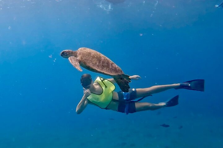 Boat Tour with Snorkeling, Slide, Lunch and Pick Up