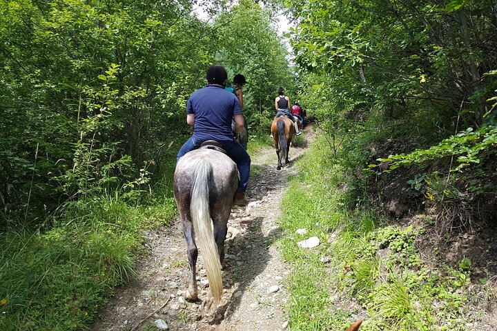Horseback riding adventure tour through Brasov landscape