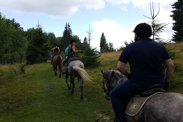 Horseback riding adventure tour through Brasov landscape