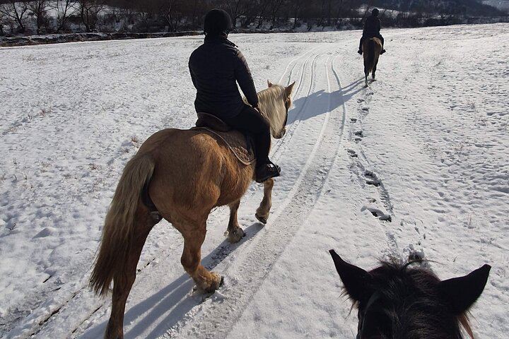 Horseback riding adventure tour through Brasov landscape
