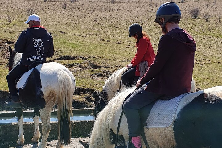 Horseback riding adventure tour through Brasov landscape