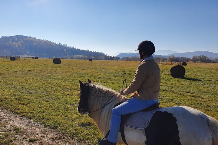 Horseback riding adventure tour through Brasov landscape