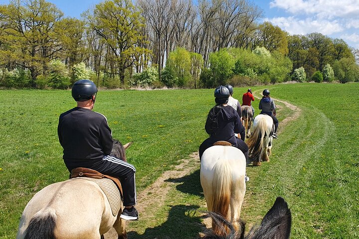 Horseback riding adventure tour through Brasov landscape