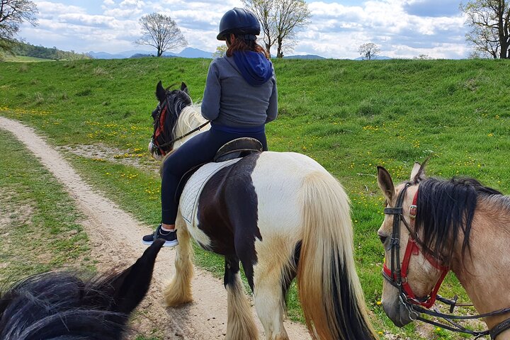 Horseback riding adventure tour through Brasov landscape