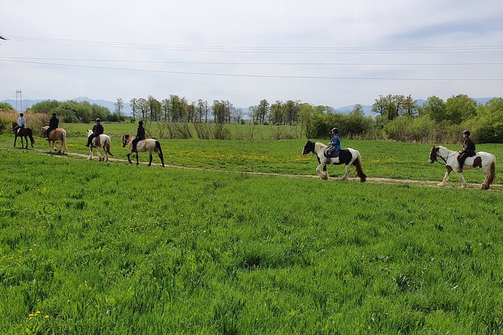Horseback riding adventure tour through Brasov landscape