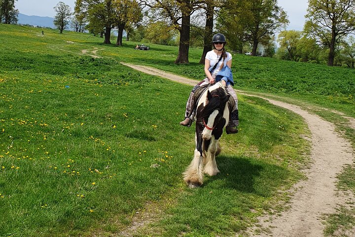 Horseback riding adventure tour through Brasov landscape