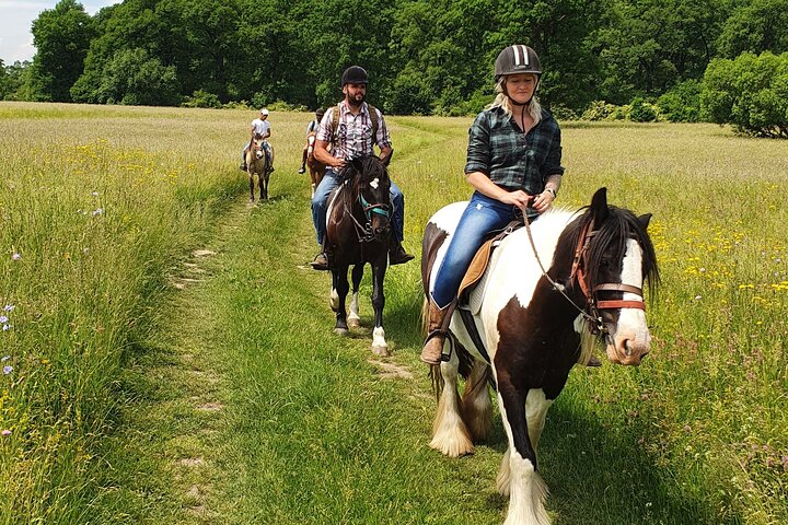 Horseback riding adventure tour through Brasov landscape