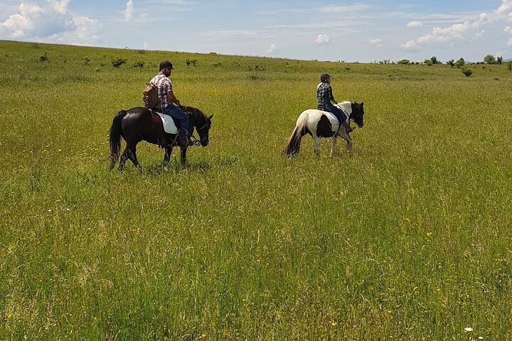 Horseback riding adventure tour through Brasov landscape