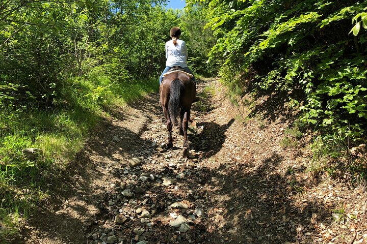 Horseback riding adventure tour through Brasov landscape