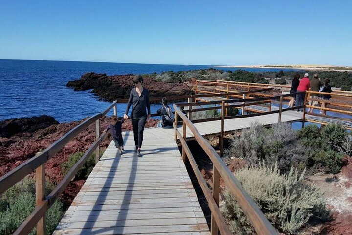 Private Tour for Punta Tombo Cruise Ships