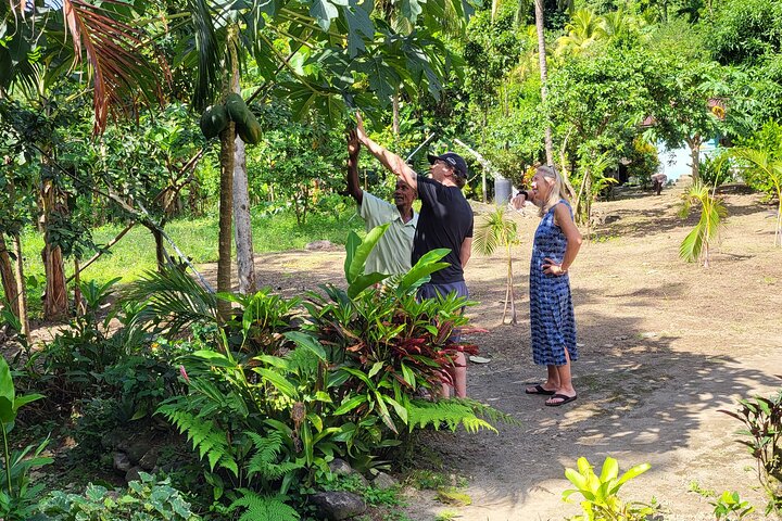 St. Lucia Food and Rum Tour - Taste authentic St. Lucian Food and Culture