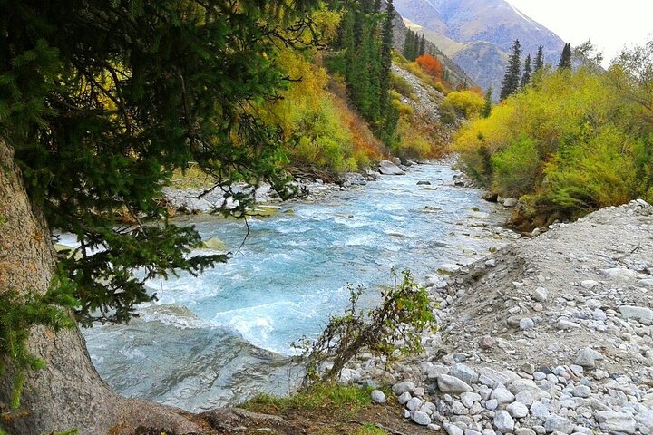 Ala Archa National Park: Scenic Small-Group Tour