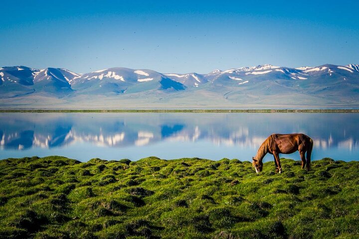 2-Days in Song Kul Lake as Nomad - horseback riding & Yurt stay