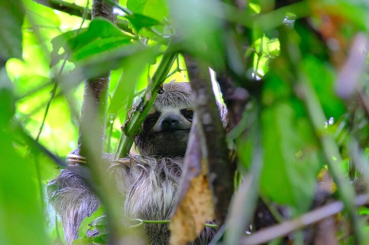 3-Day Amazon Essence: Private Culture & Nature Journey