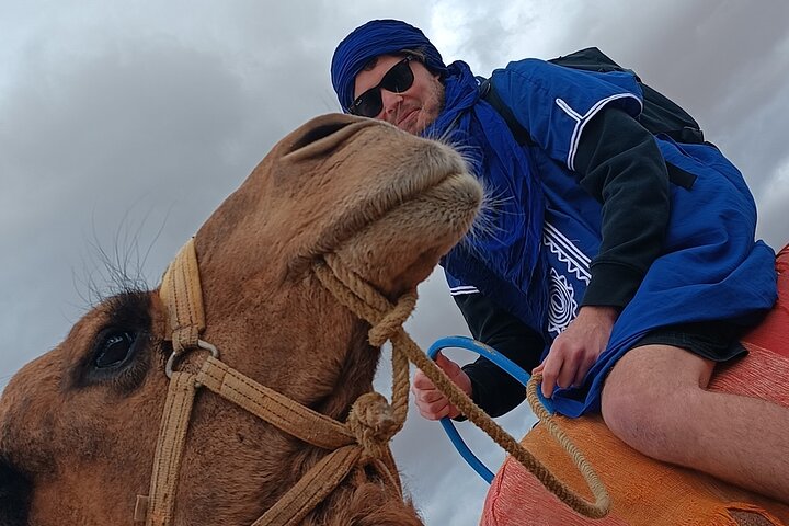 Agafay Desert Package, Quad Bike, Camel Ride and Dinner Show