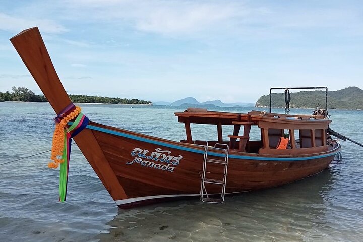 Half Day Pig Island and Snorkeling Experience