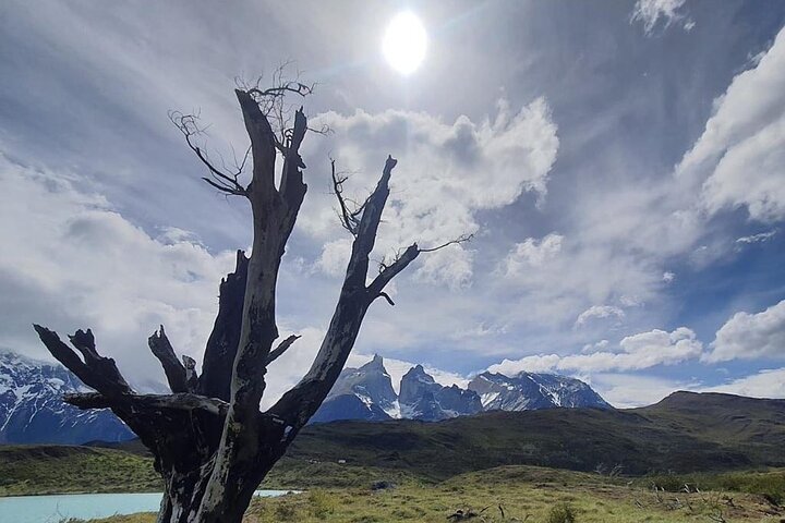 Full Day Torres del Paine