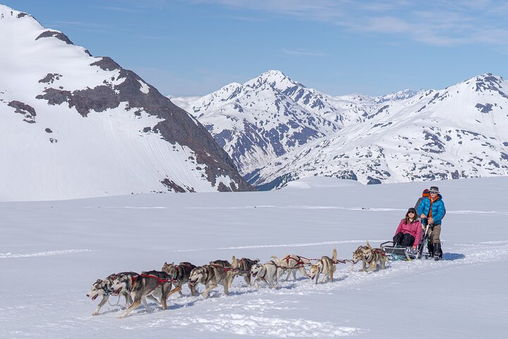 Anchorage Helicopter Glacier Dogsledding Tour