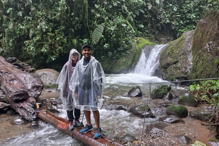 Mindo Cloud Forest: Hummingbirds, Birding & Waterfall Tour