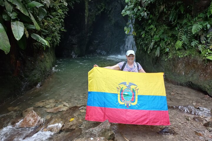 Mindo Cloud Forest: Hummingbirds, Birding & Waterfall Tour