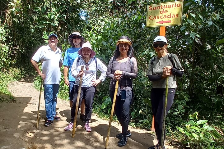 Mindo Cloud Forest: Hummingbirds, Birding & Waterfall Tour