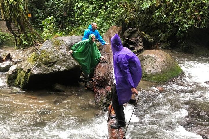 Mindo Cloud Forest: Hummingbirds, Birding & Waterfall Tour