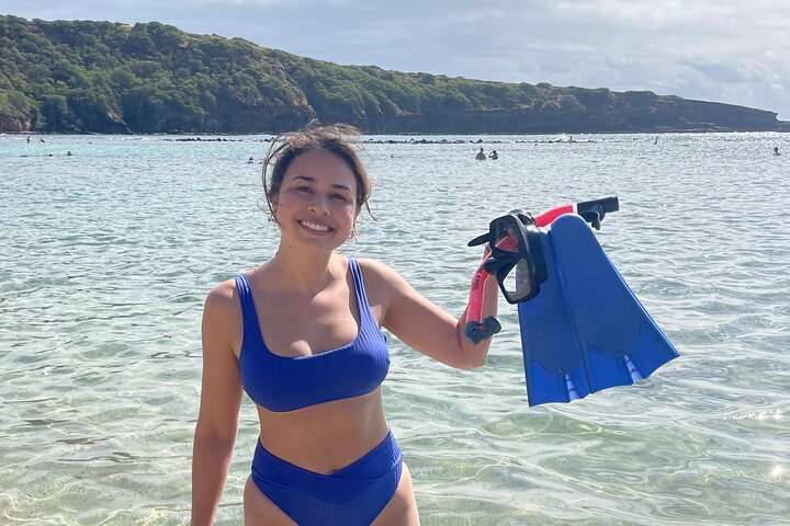 Hanauma Bay Snorkeling from Waikiki