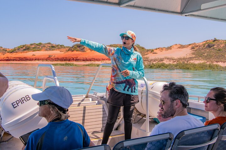 DINOSAUR ADVENTURE CRUISE - With Beachside Tapas and Cocktails