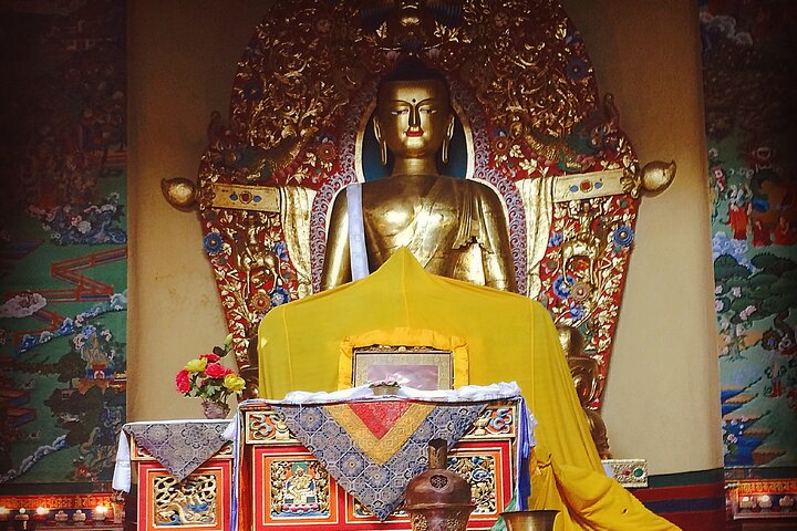 Guided, India's Own Mini Tibet Mcleodganj- Culture Tour