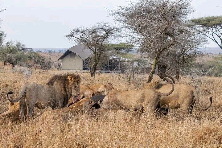 Full-Day Chobe Trip Botswana
