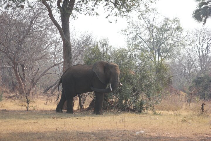 Full-Day Chobe Trip Botswana
